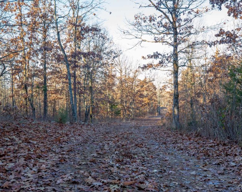 Dutchman Hollow Tract 4 in Fulton County, AR