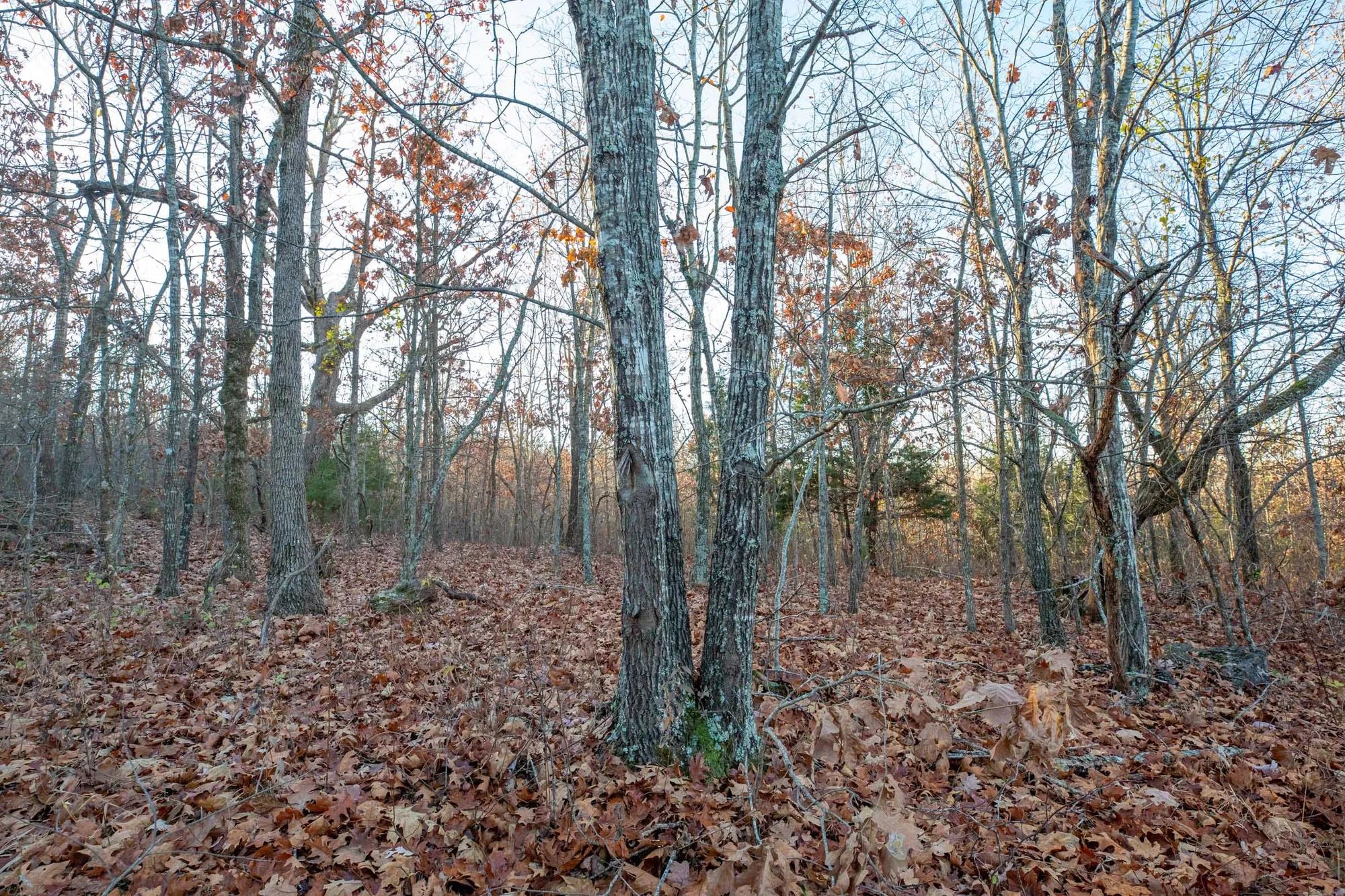 Dutchman Hollow Tract 4 in Fulton County, AR