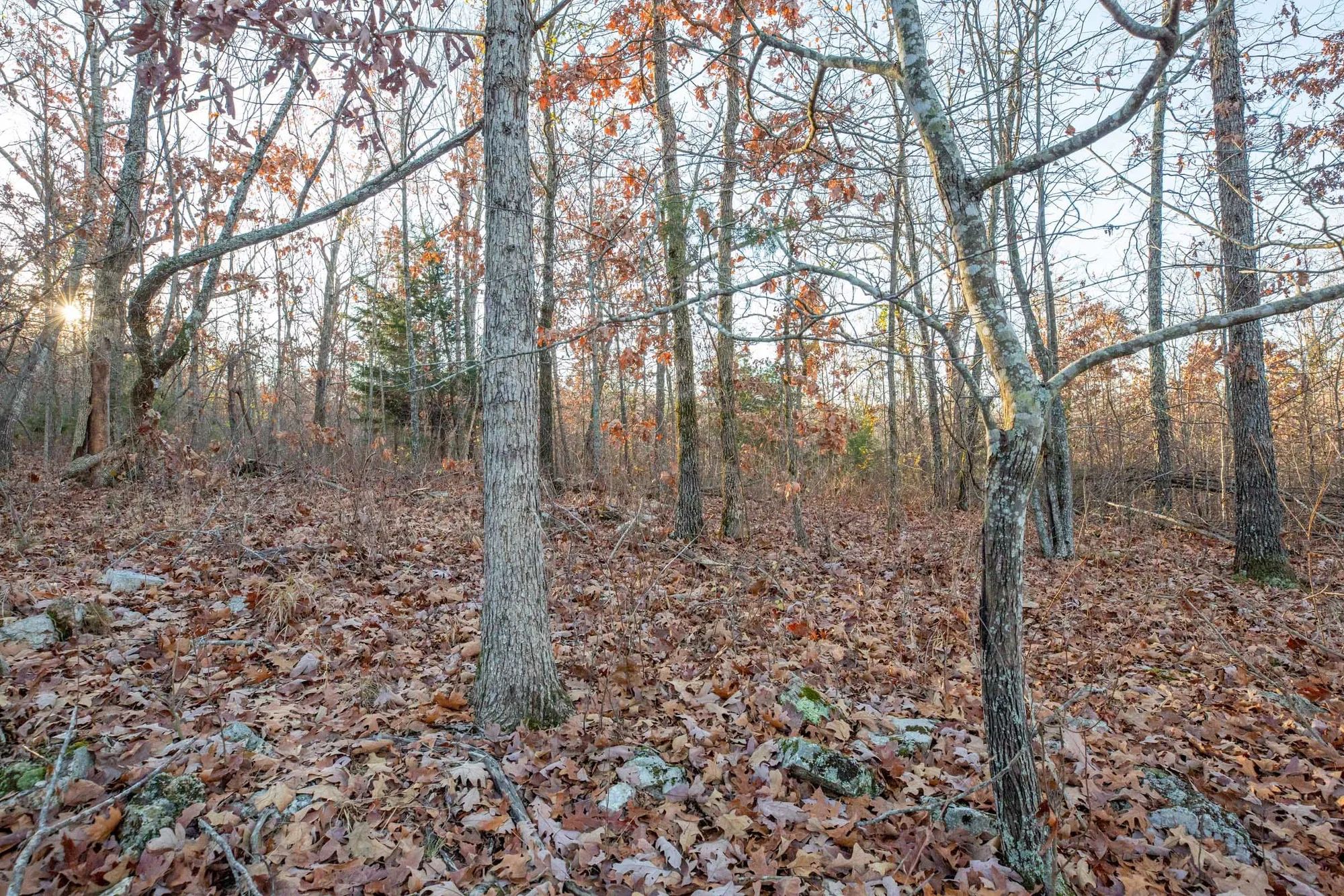 Dutchman Hollow Tract 4 in Fulton County, AR