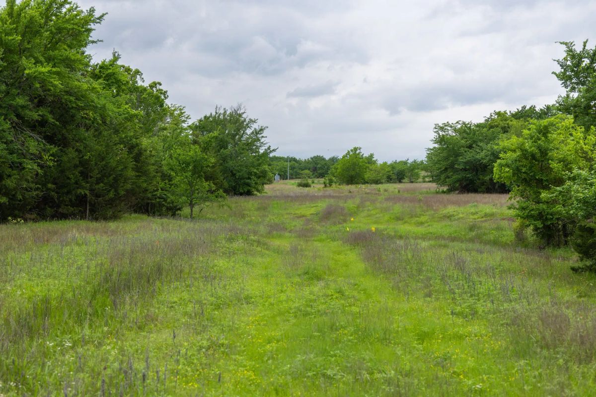 Decorative background for Harmony Hills Tract 14 image 5