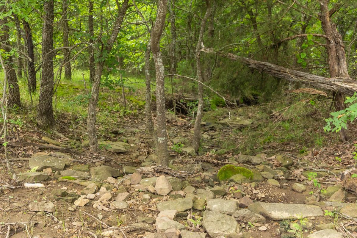 Decorative background for Harmony Hills Tract 14 image 6