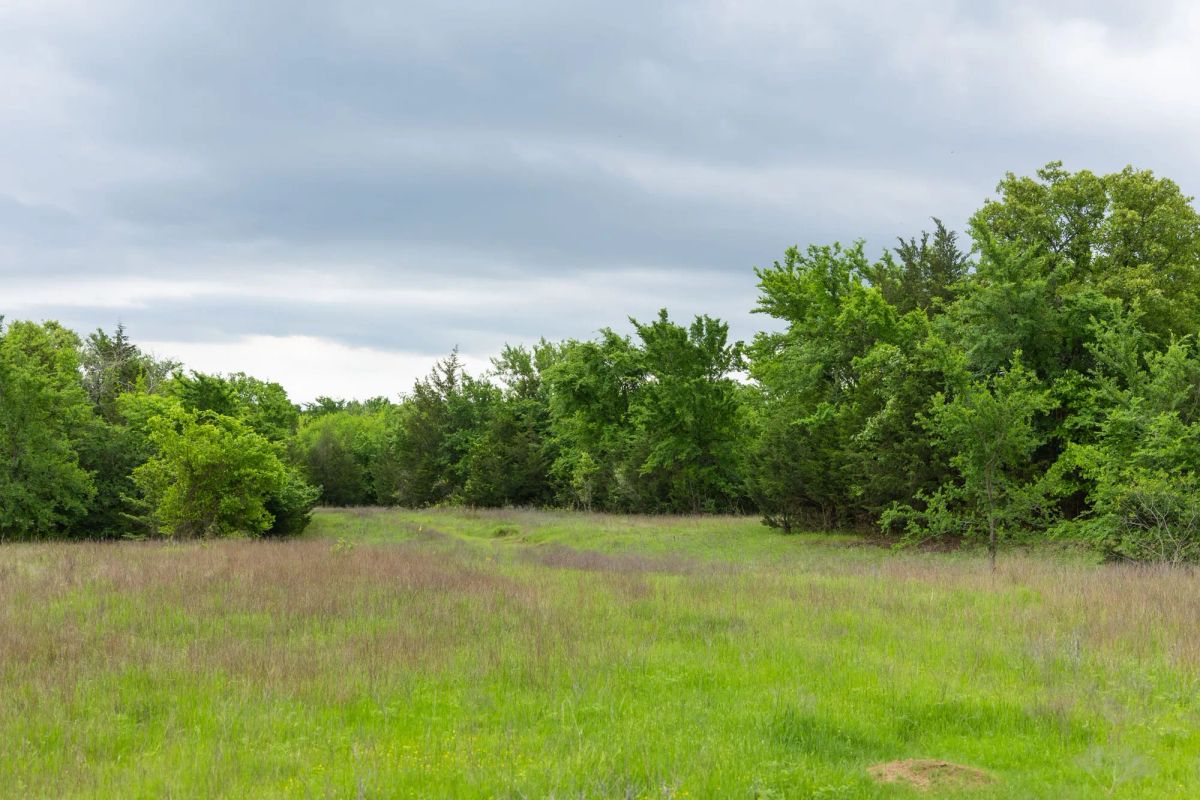 Decorative background for Harmony Hills Tract 14 image 7