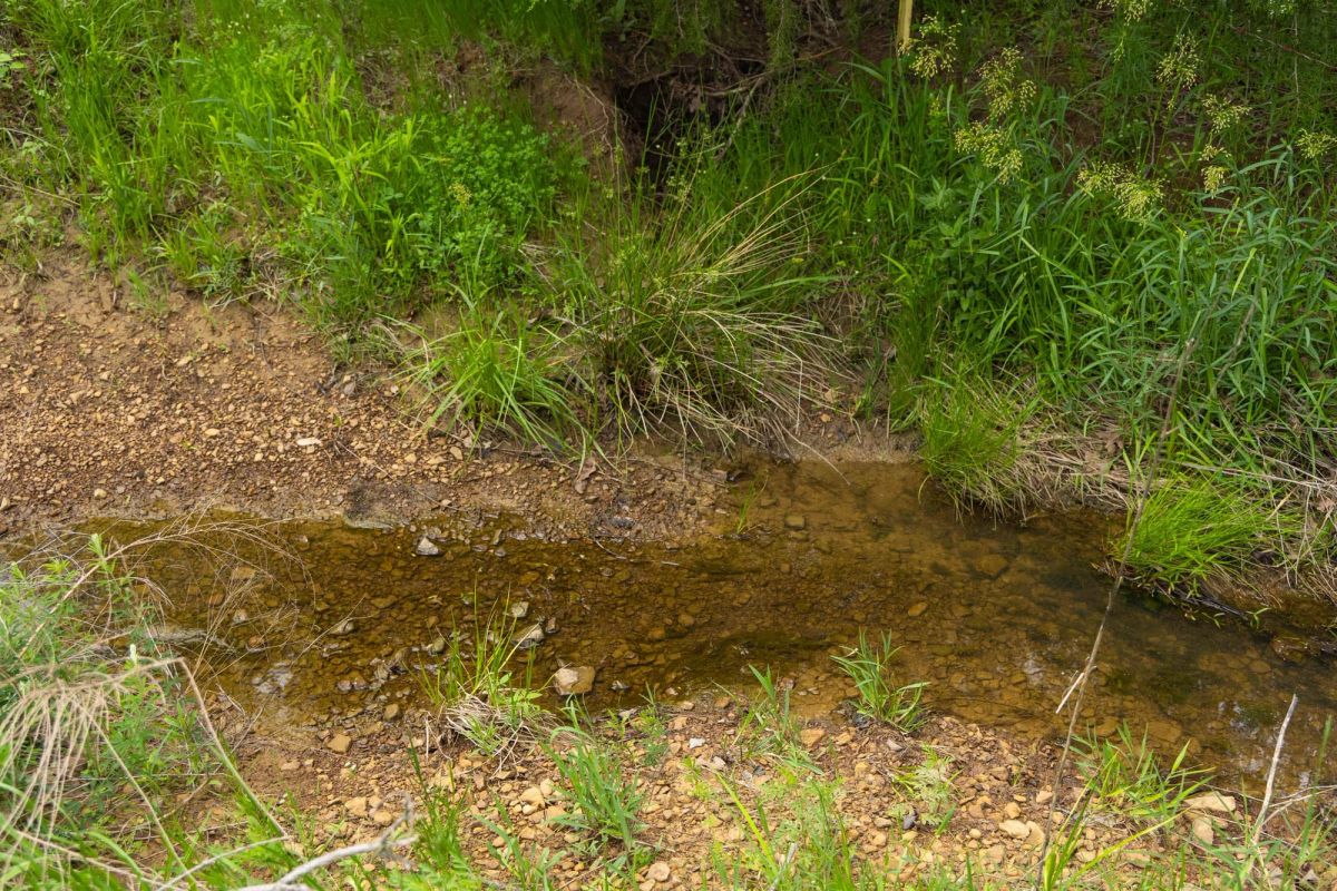 Decorative background for Harmony Hills Tract 14 image 8