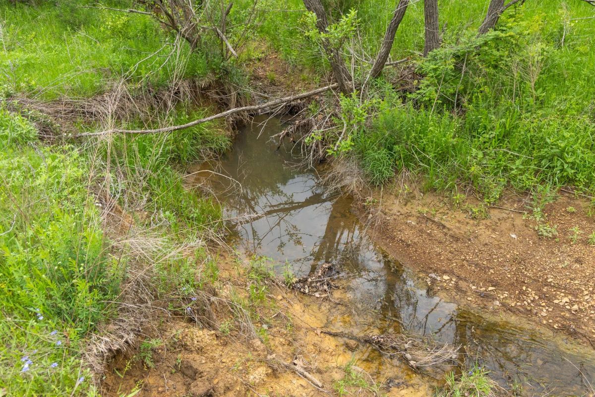 Decorative background for Harmony Hills Tract 14 image 9