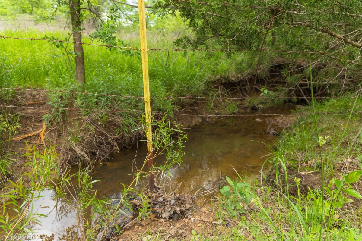 Decorative background for Harmony Hills Tract 14 image 10