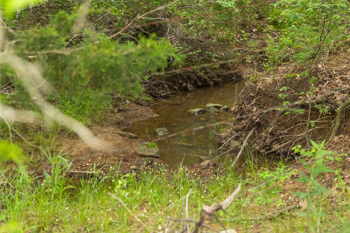 Decorative background for Harmony Hills Tract 14 image 11