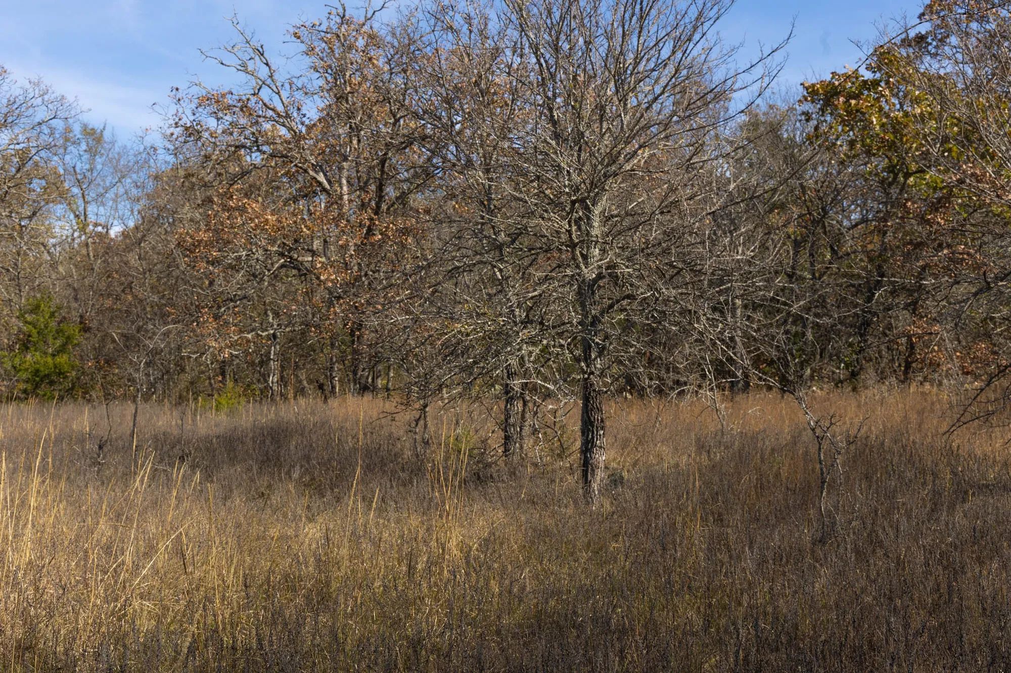 Harmony Hills Tract 47 in Pittsburg County, OK