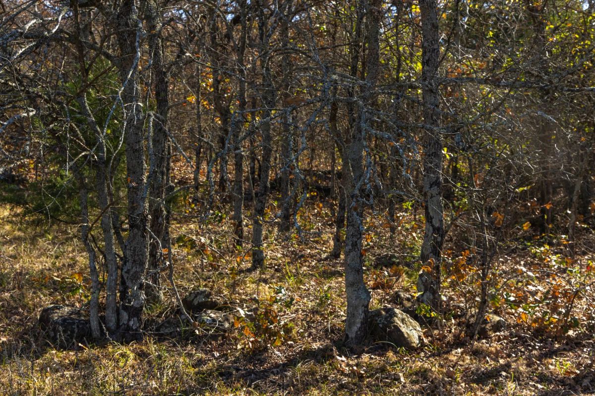 Harmony Hills Tract 47 - Image 4
