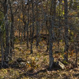 Harmony Hills Tract 47 in Pittsburg County, OK