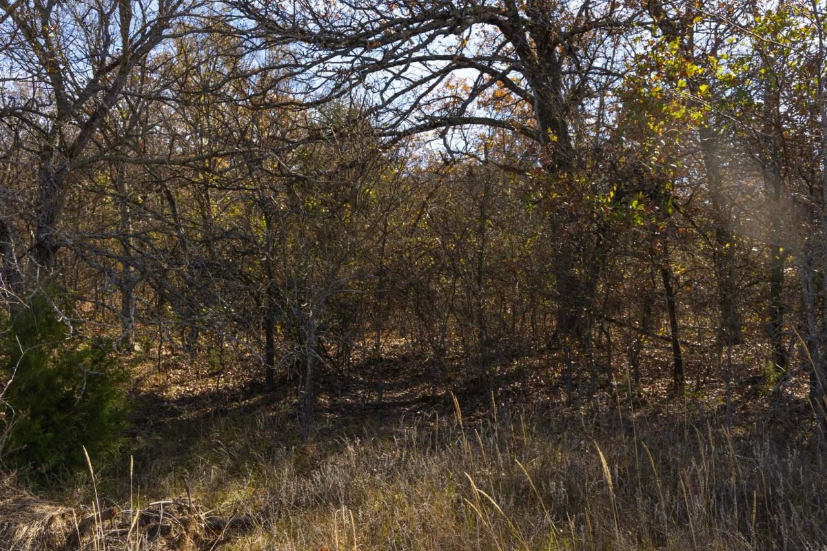 Decorative background for Harmony Hills Tract 47 image 6