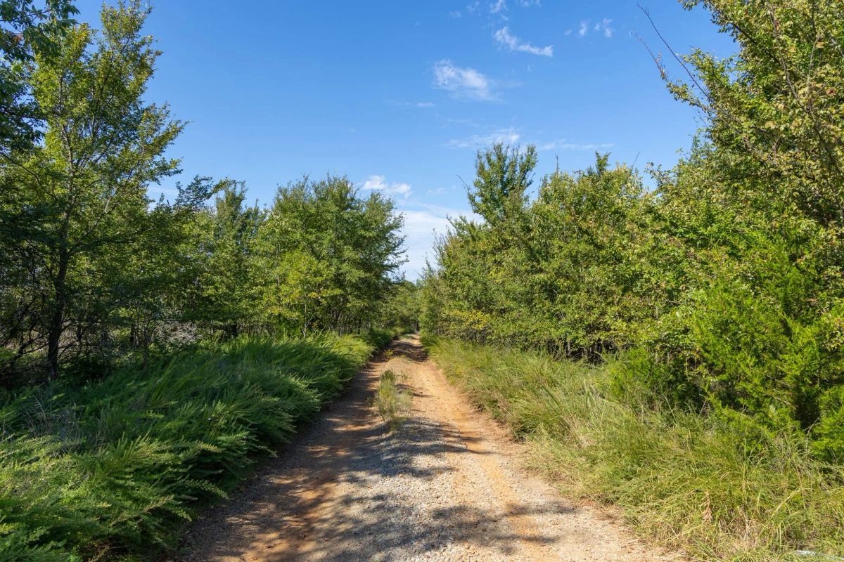 Reserves At Cattail Cove Phase II Tract 90 - Image 3