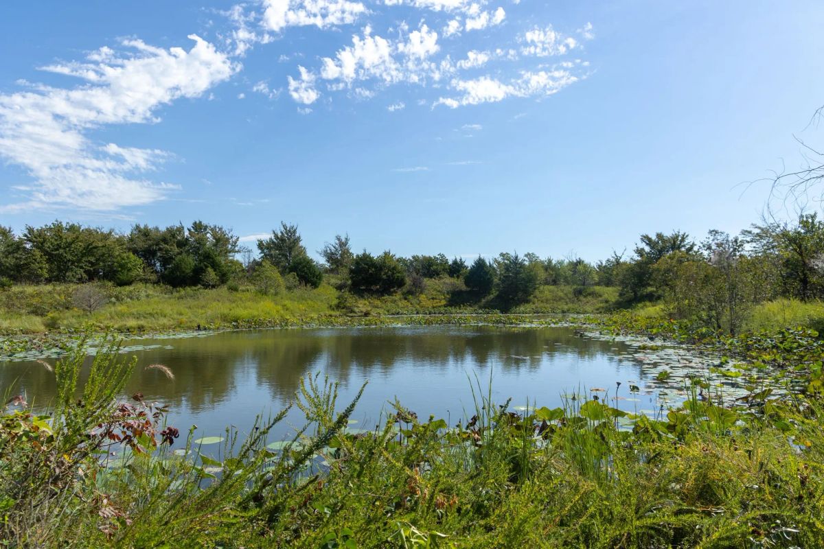Decorative background for Reserves At Cattail Cove Phase II Tract 90 image 6