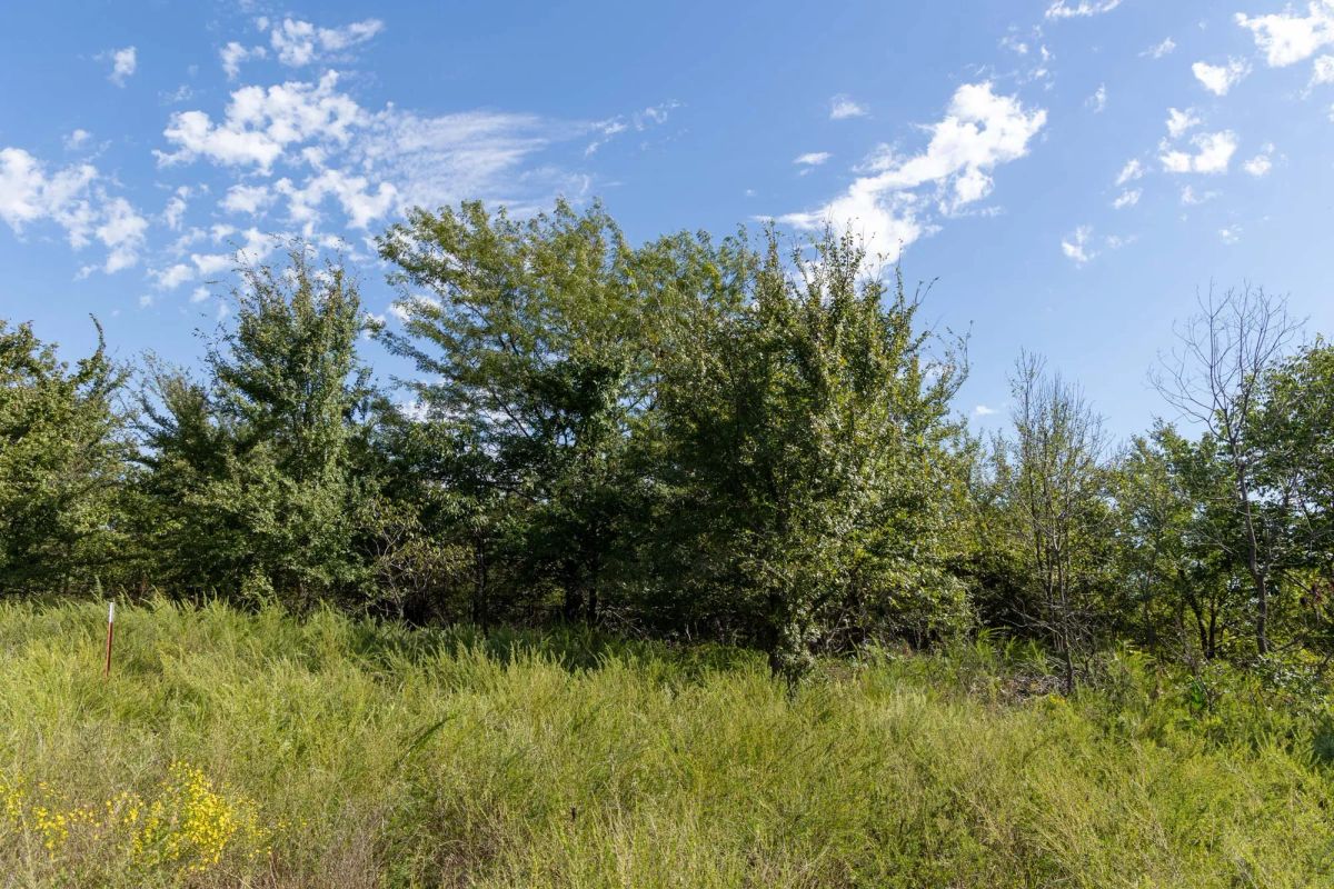 Decorative background for Reserves At Cattail Cove Phase II Tract 90 image 13