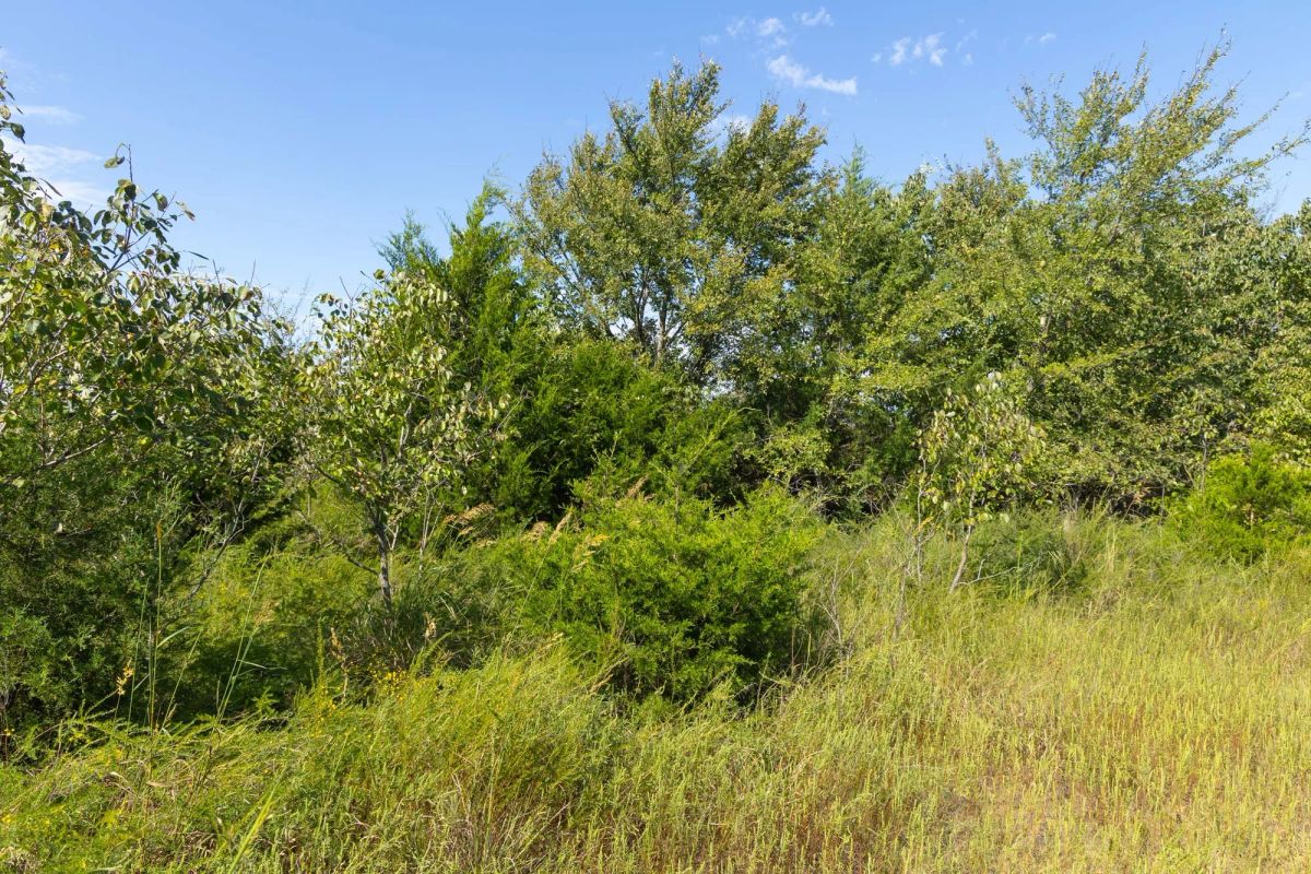 Decorative background for Reserves At Cattail Cove Phase II Tract 90 image 15