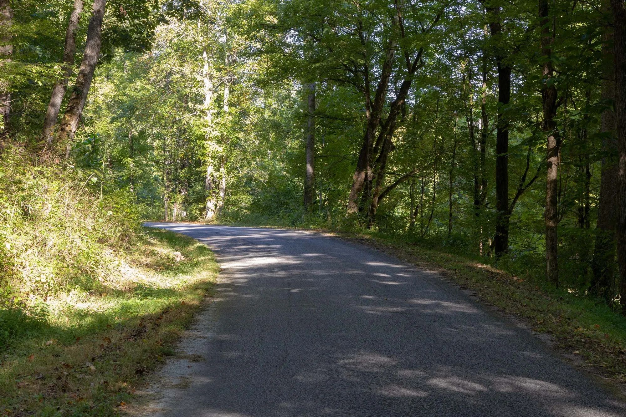Big White Oak Tract 5 in Perry County, TN