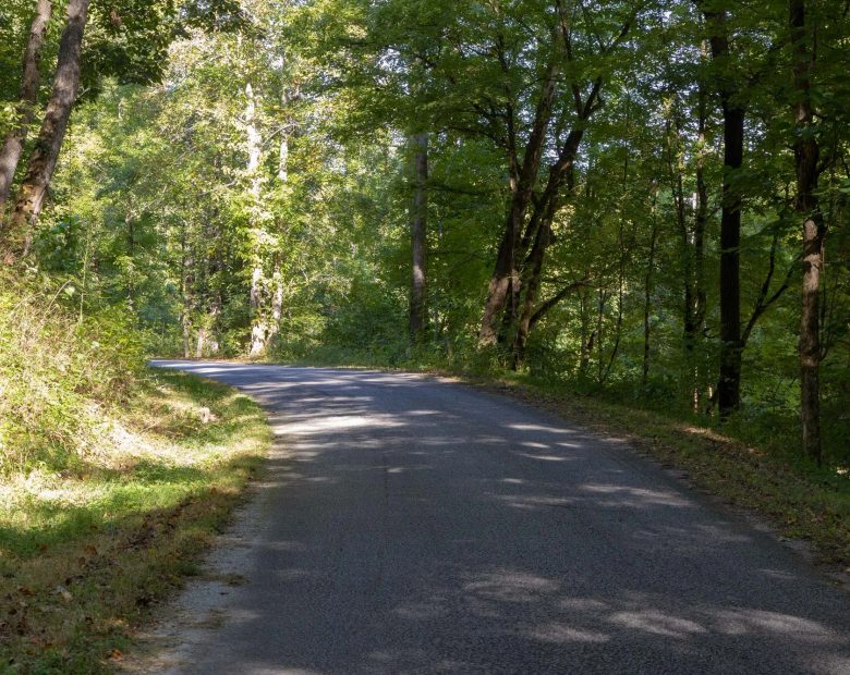 Big White Oak Tract 5 in Perry County, TN