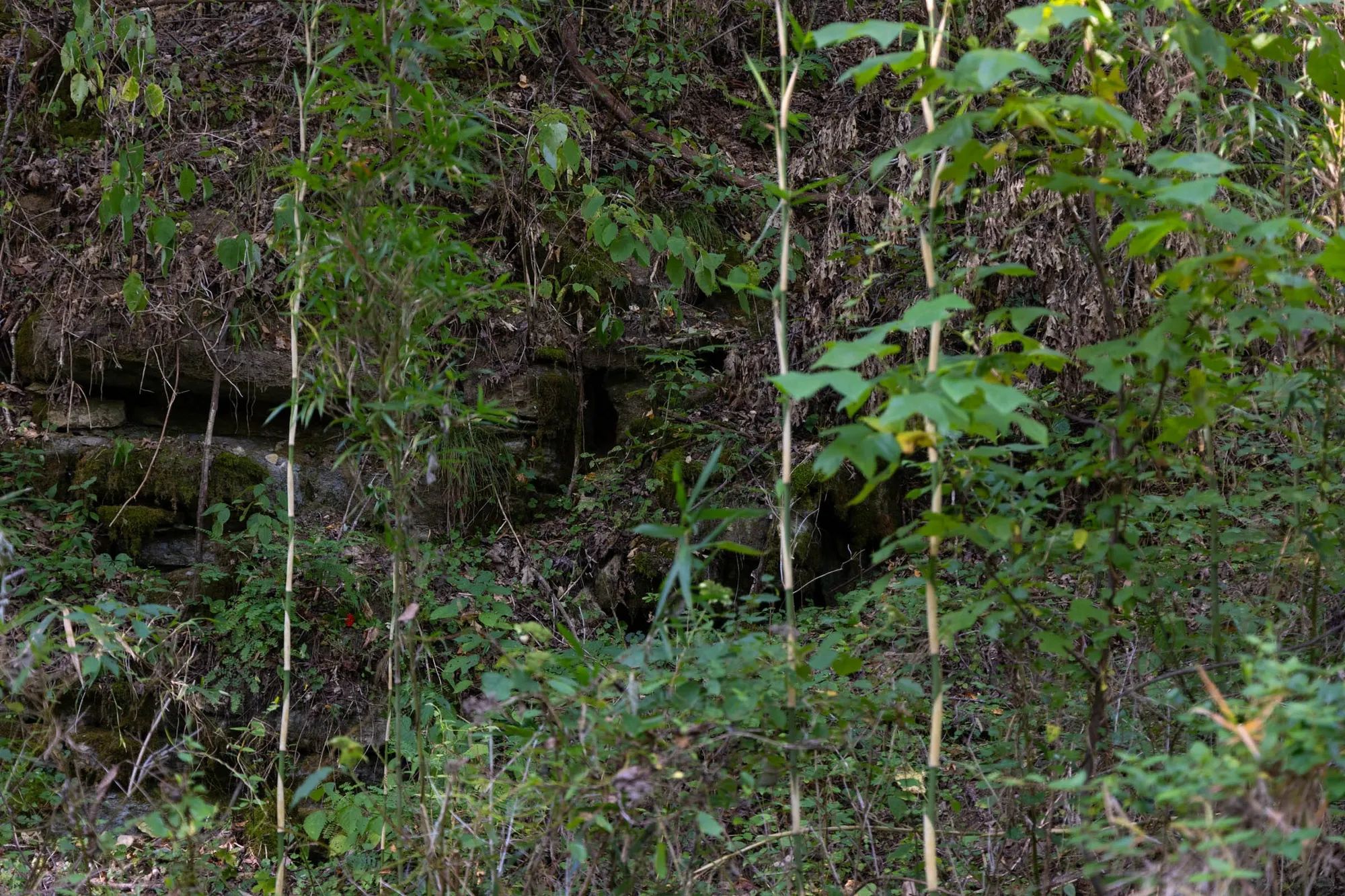Big White Oak Tract 5 in Perry County, TN