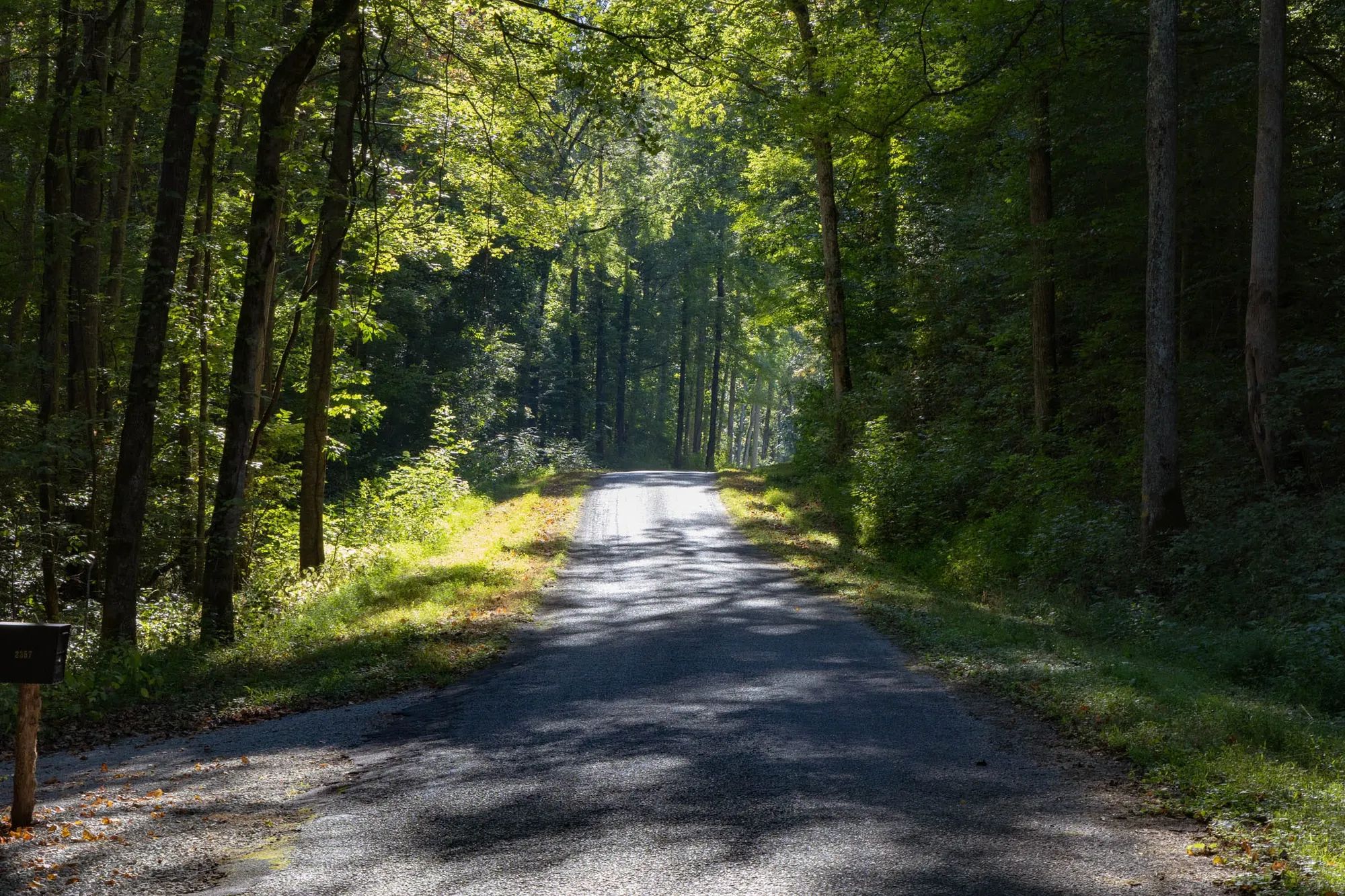 Big White Oak Tract 5 in Perry County, TN