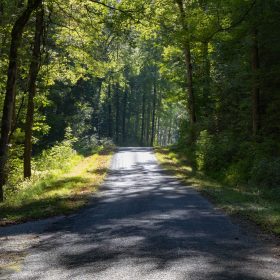 Big White Oak Tract 5 in Perry County, TN