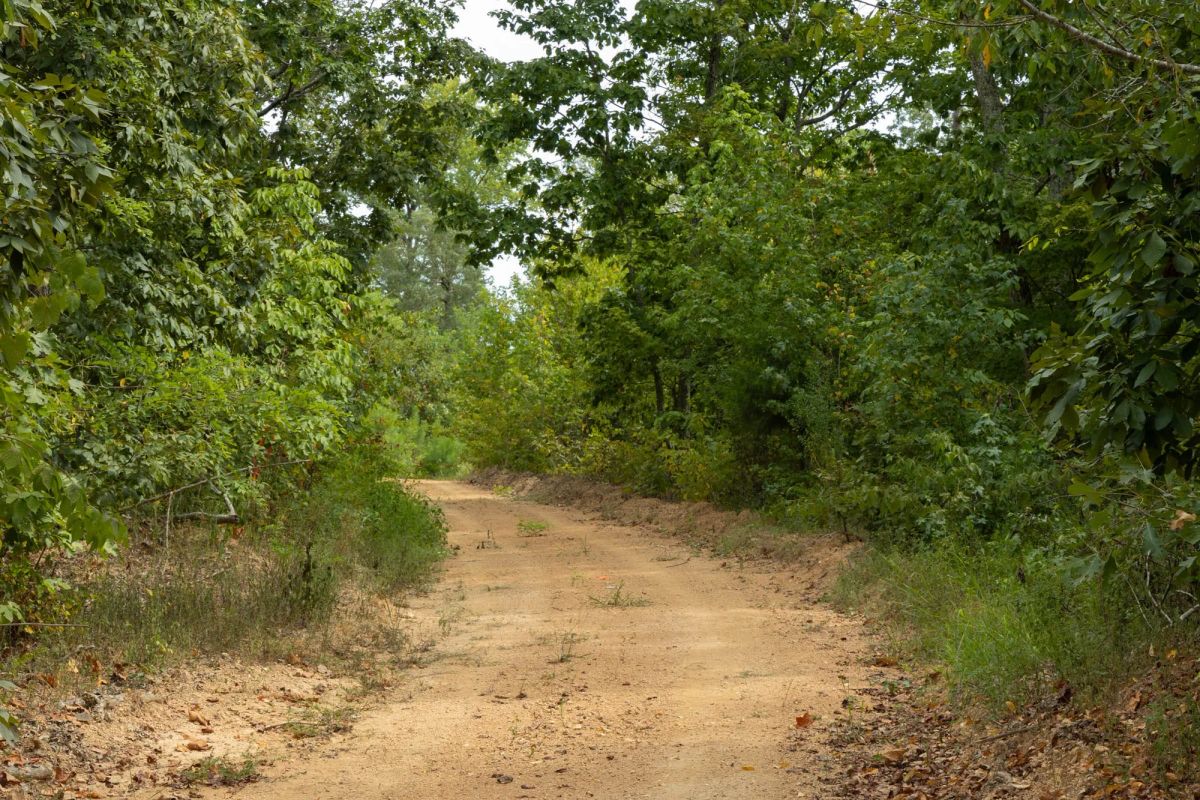 Decorative background for Big White Oak Tract 5 image 5