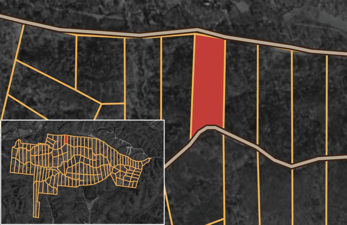 Decorative background for Big White Oak Tract 5 image 8