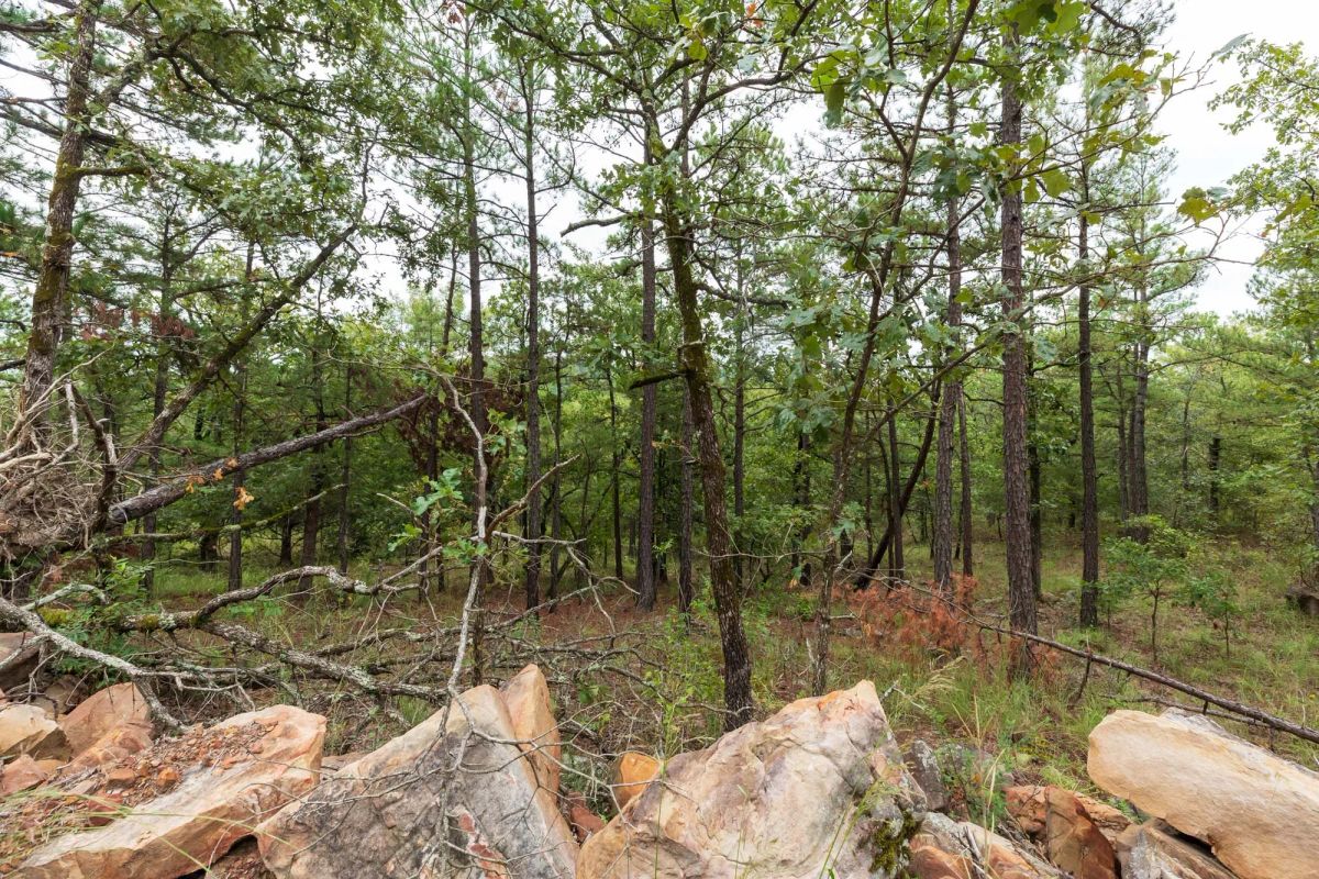 Stone Bridge Phase V Tract 422 - Image 3
