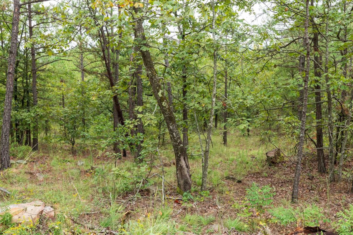 Stone Bridge Phase V Tract 422 - Image 4