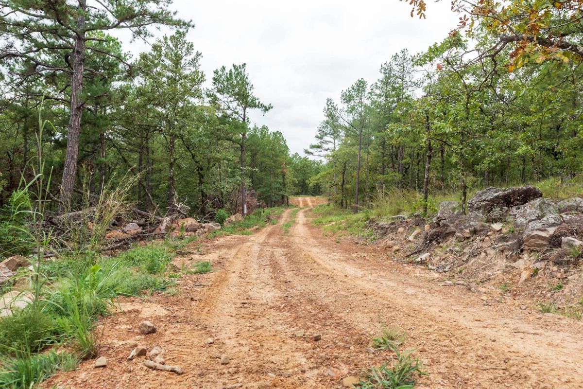 Decorative background for Stone Bridge Phase V Tract 422 image 9