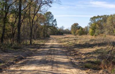 Harmony Hills Tract 37