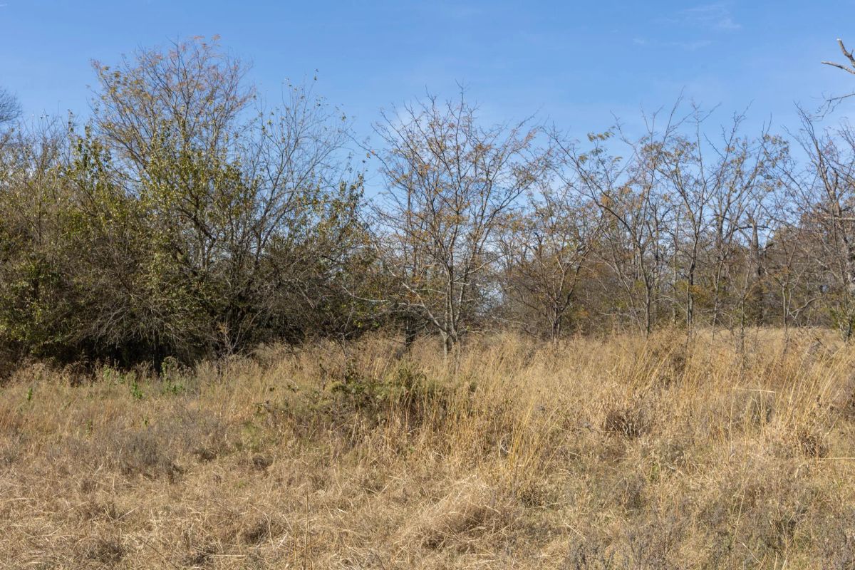 Harmony Hills Tract 37 - Image 2