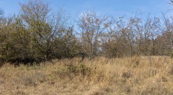 Harmony Hills Tract 37 in Pittsburg County, OK