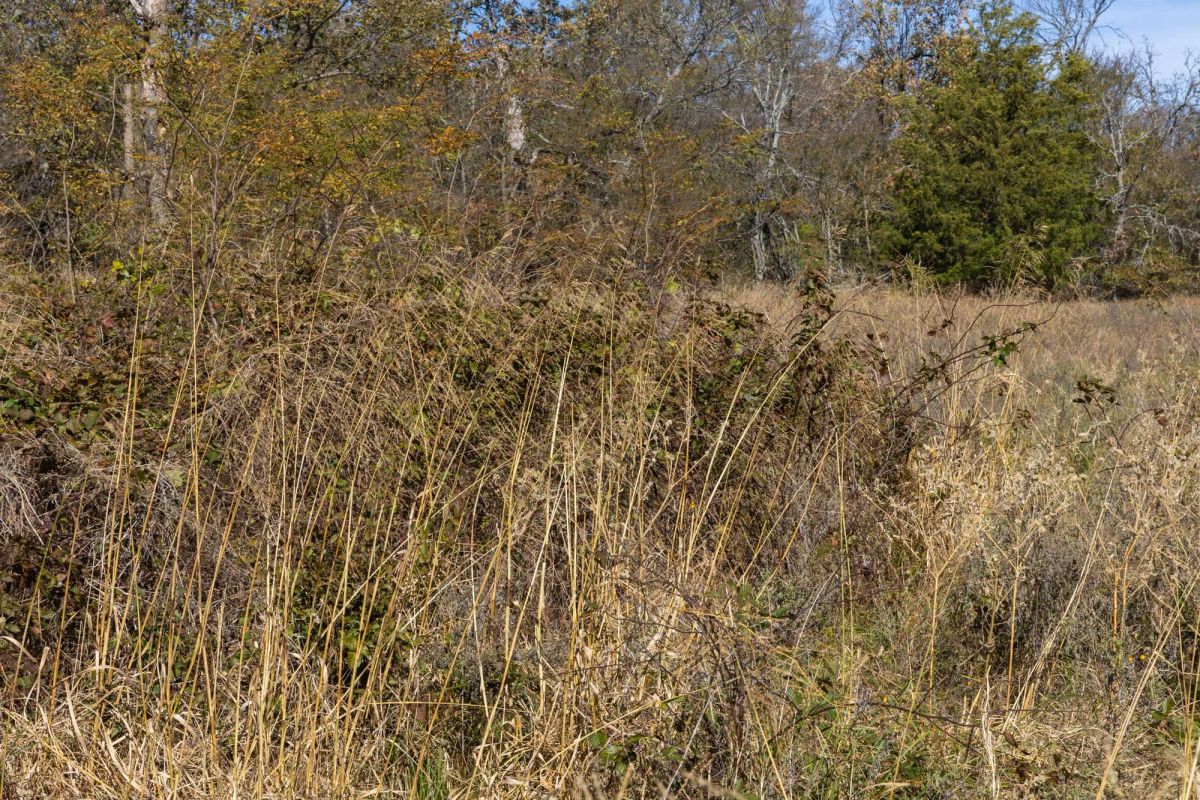 Decorative background for Harmony Hills Tract 37 image 6