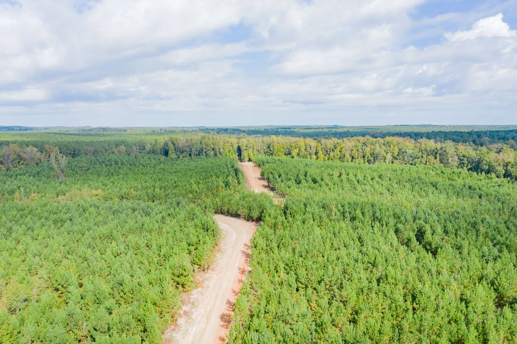 Sky Ranch Tract 4 in Attala County, MS