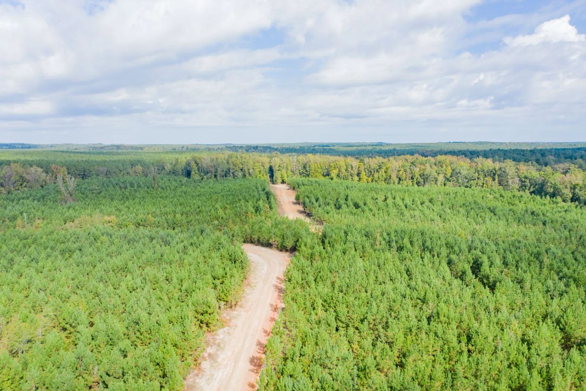 Sky Ranch Tract 4 - Main image