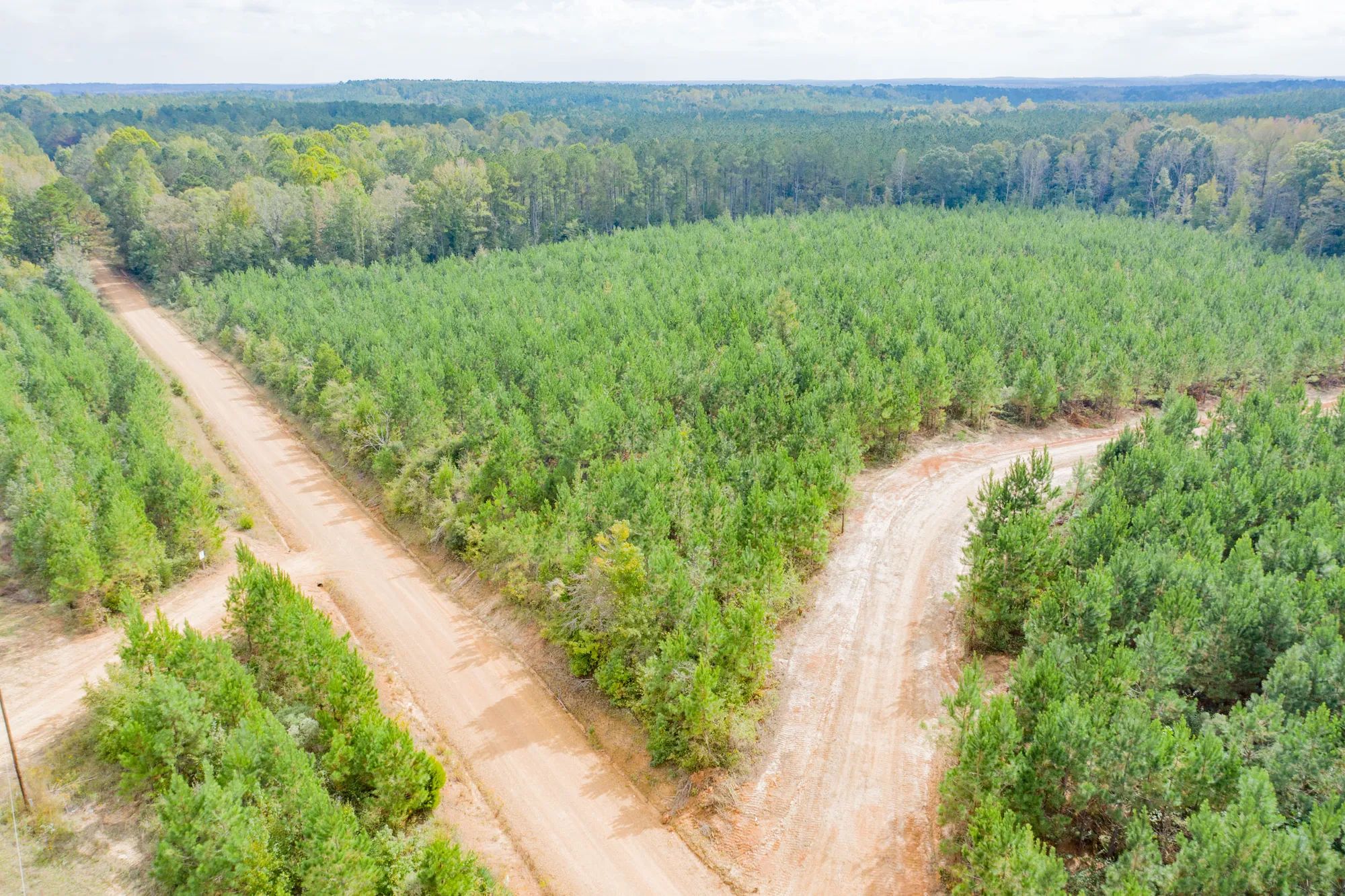 Sky Ranch Tract 4 in Attala County, MS