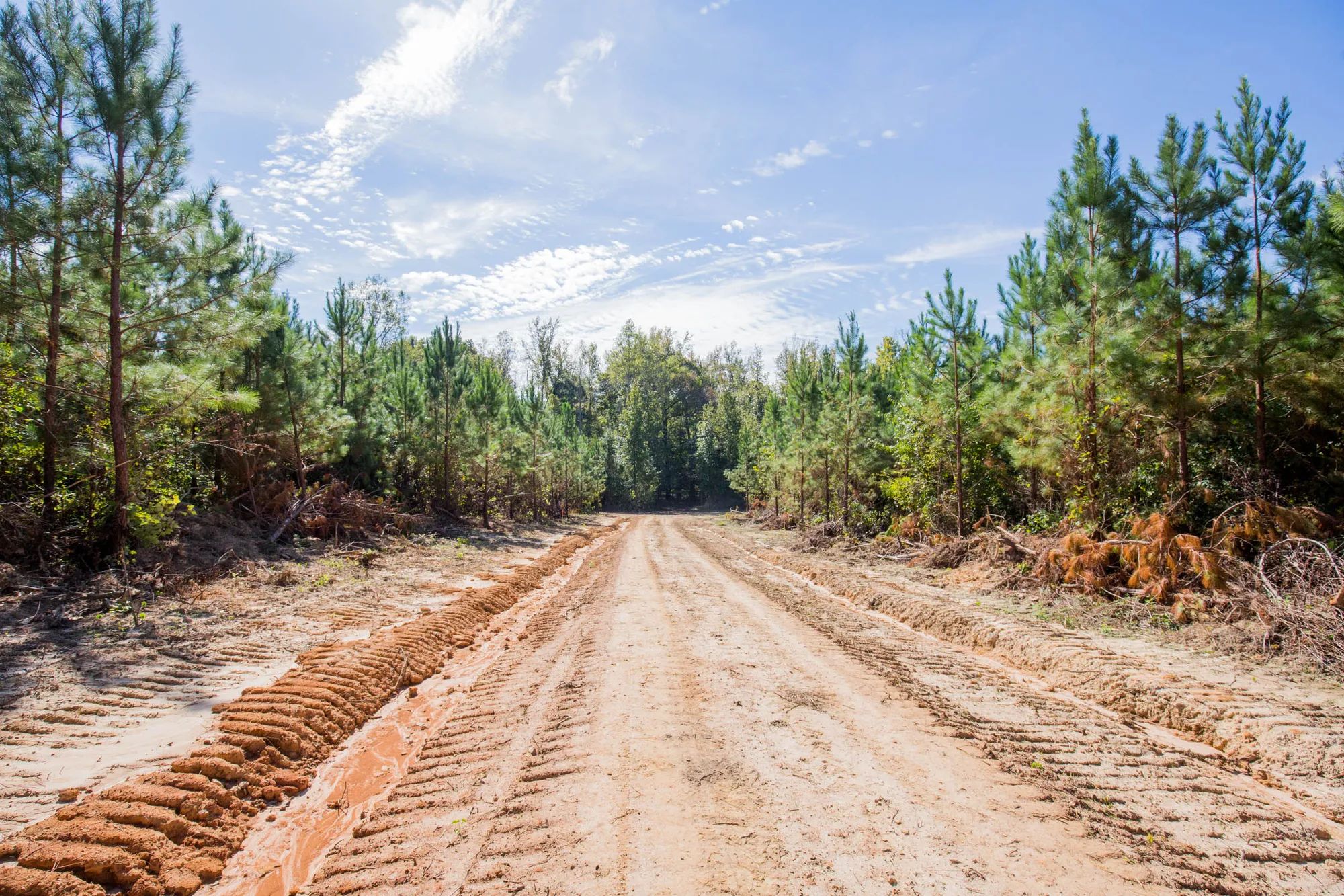 Sky Ranch Tract 4 in Attala County, MS