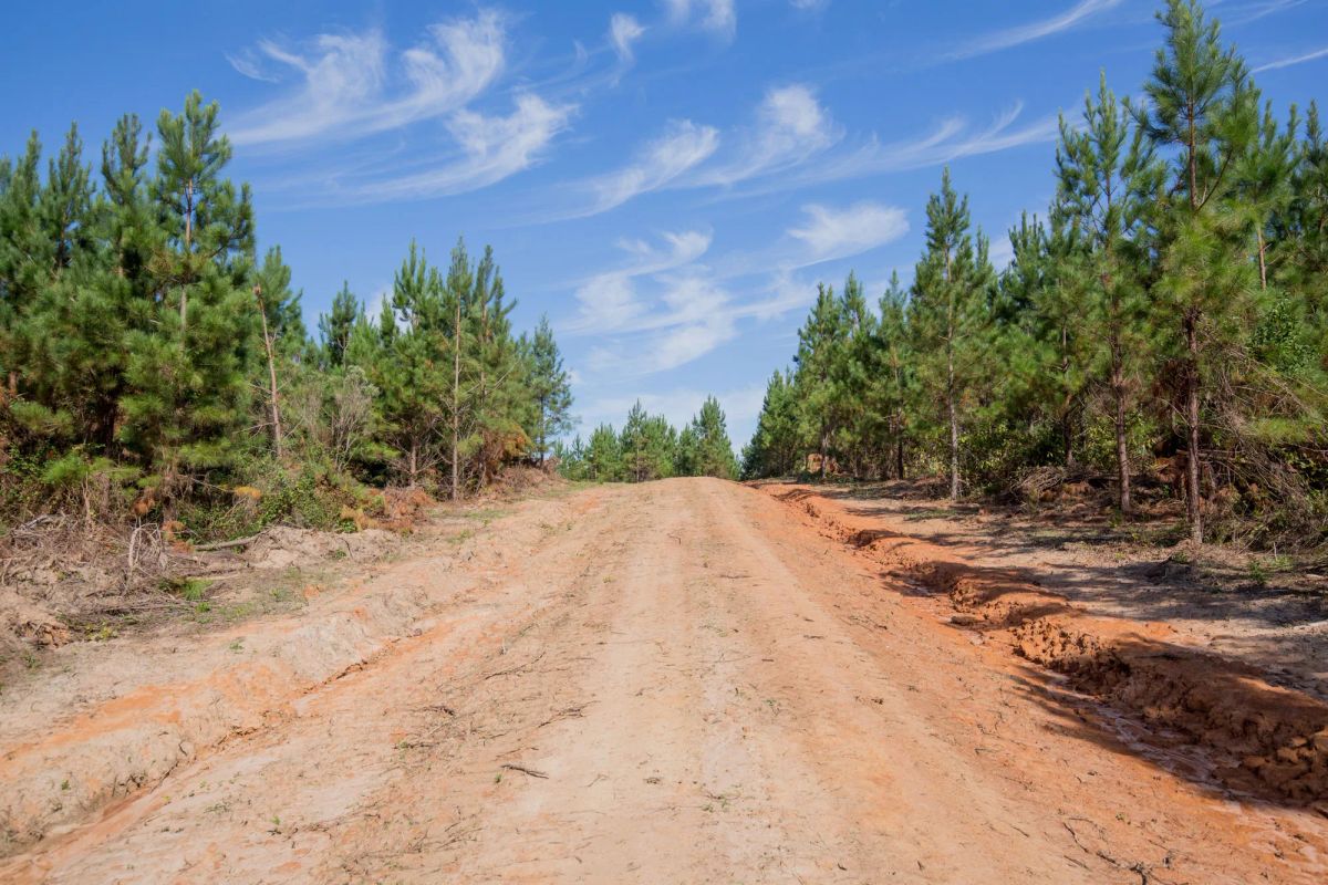 Decorative background for Sky Ranch Tract 4 image 5