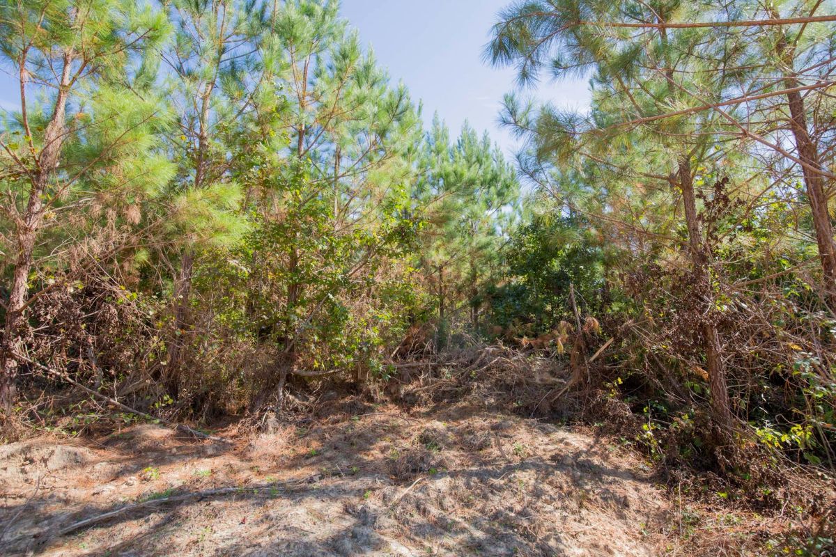 Decorative background for Sky Ranch Tract 4 image 6