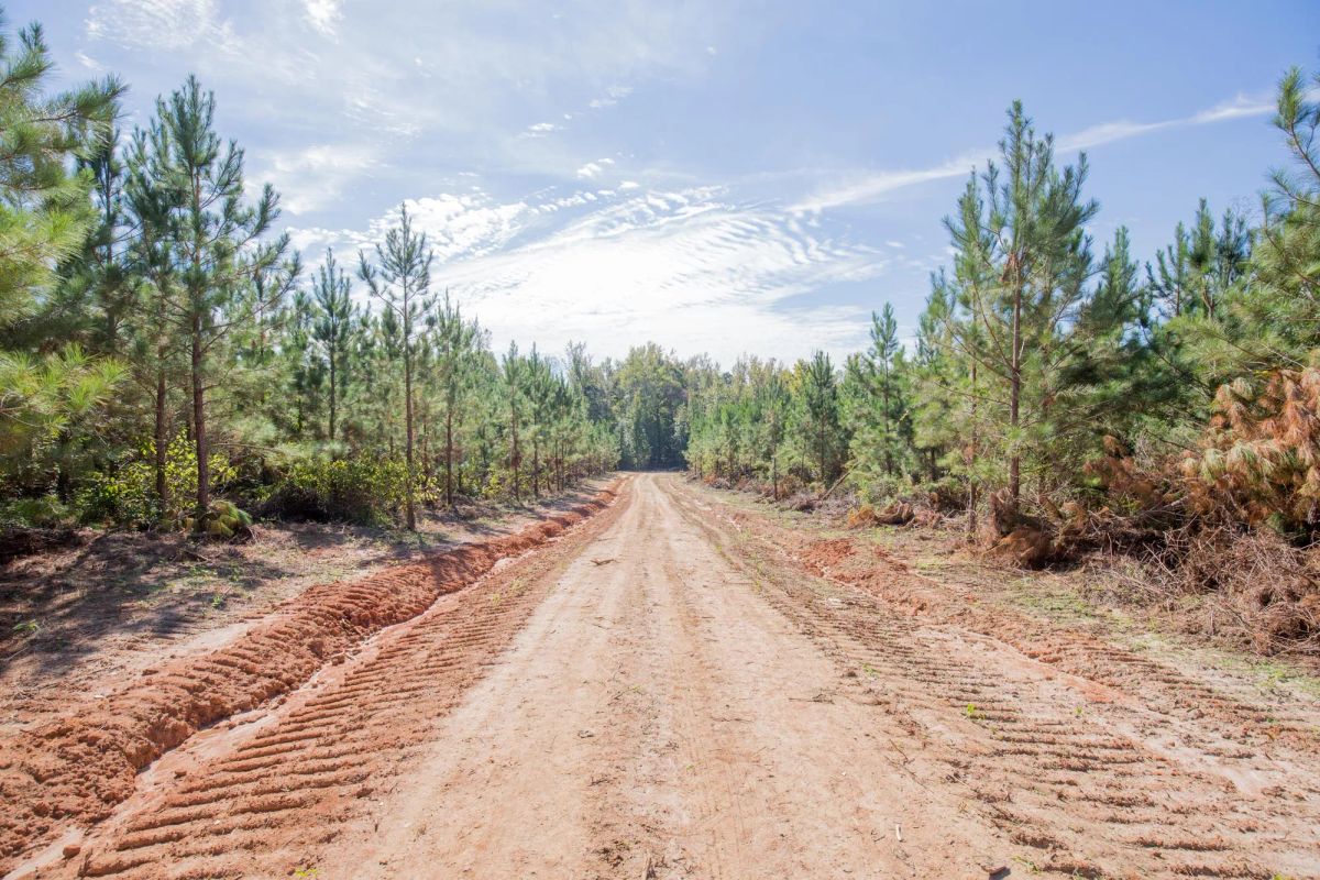 Decorative background for Sky Ranch Tract 4 image 8