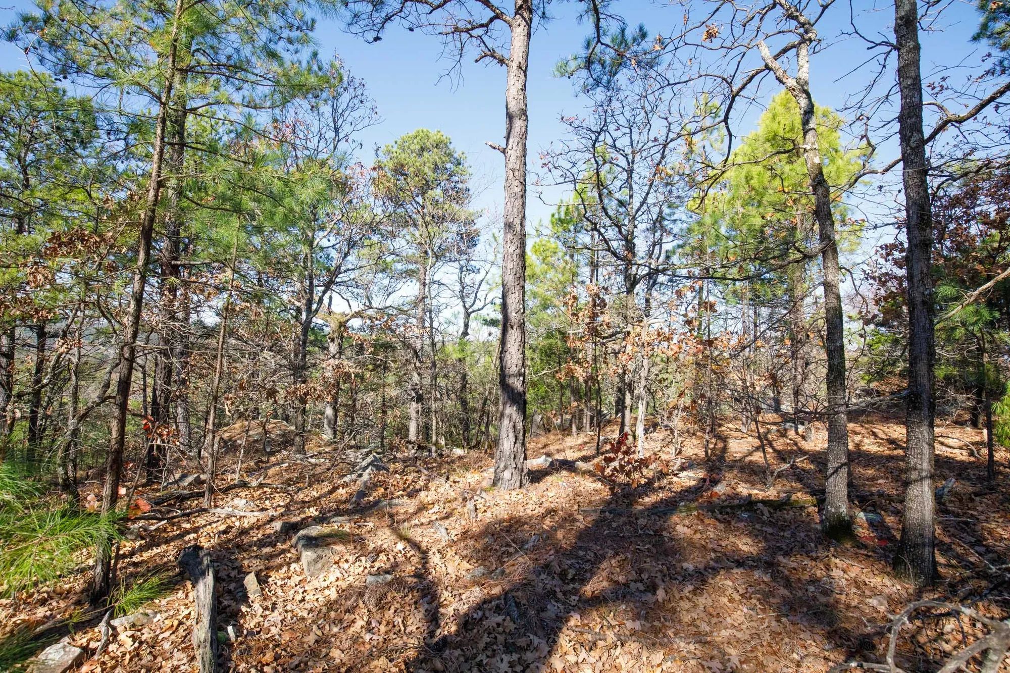 Stone Bridge Phase II Tract 100 in Latimer County, OK