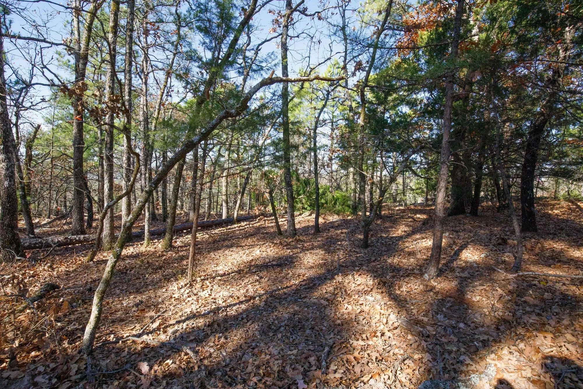 Stone Bridge Phase II Tract 100 in Latimer County, OK