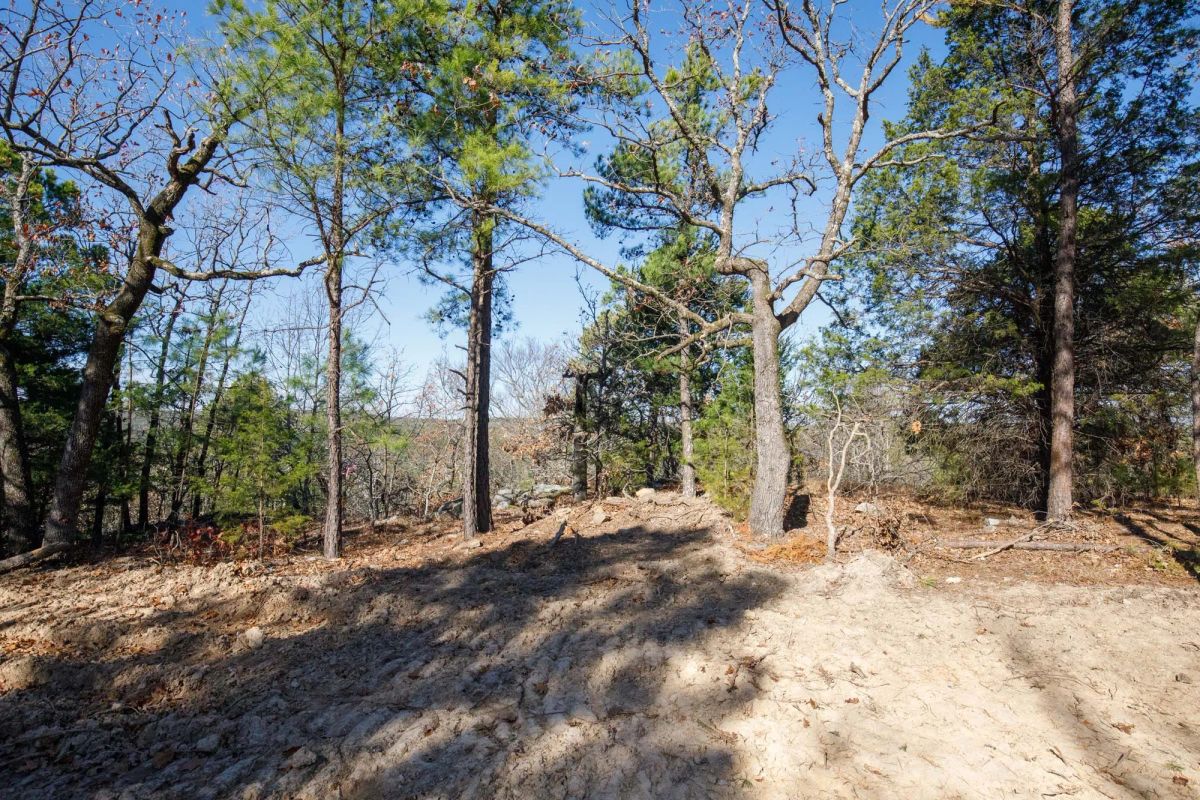 Decorative background for Stone Bridge Phase II Tract 100 image 5