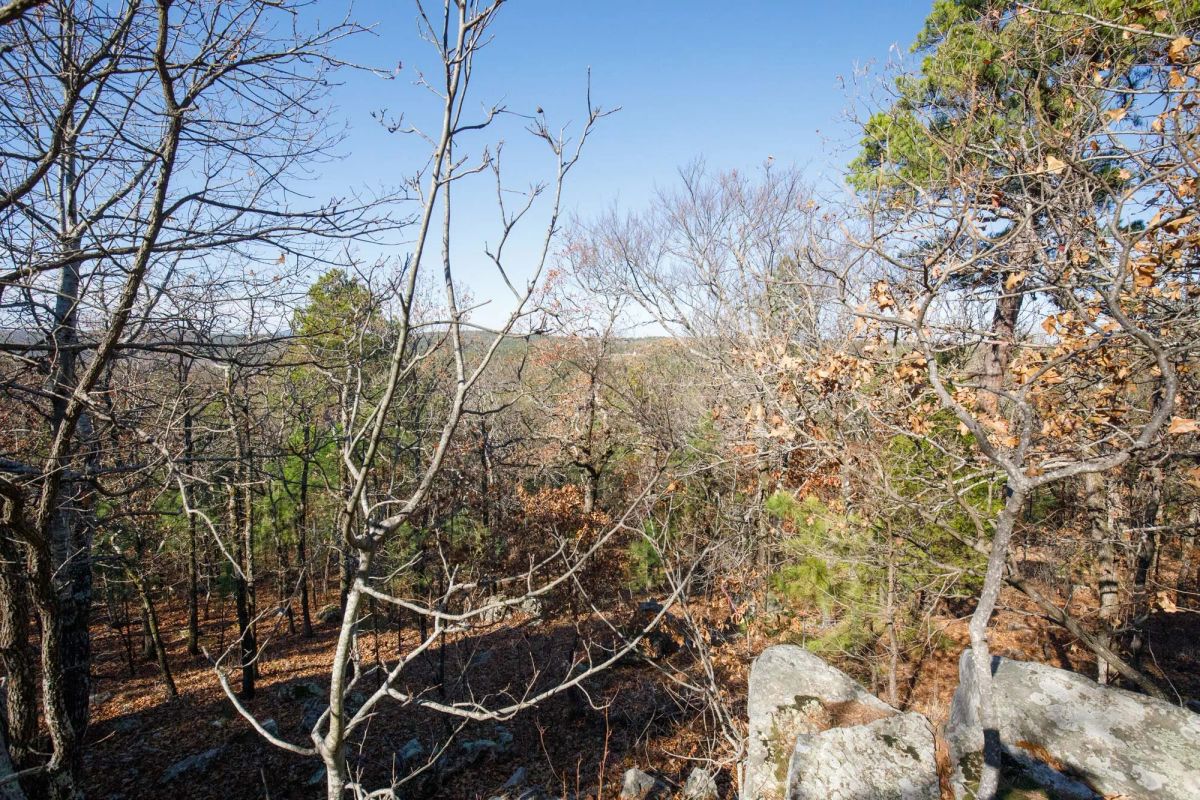 Decorative background for Stone Bridge Phase II Tract 100 image 6