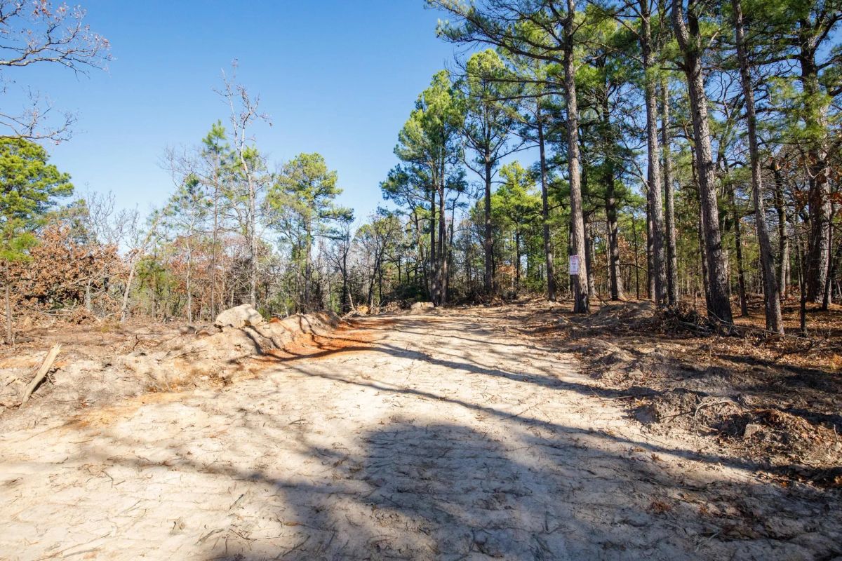 Decorative background for Stone Bridge Phase II Tract 100 image 7