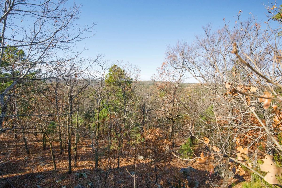Decorative background for Stone Bridge Phase II Tract 100 image 8