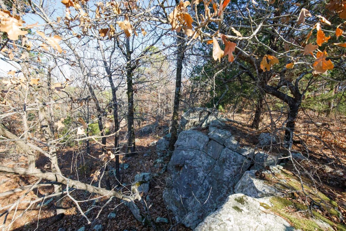 Decorative background for Stone Bridge Phase II Tract 100 image 9