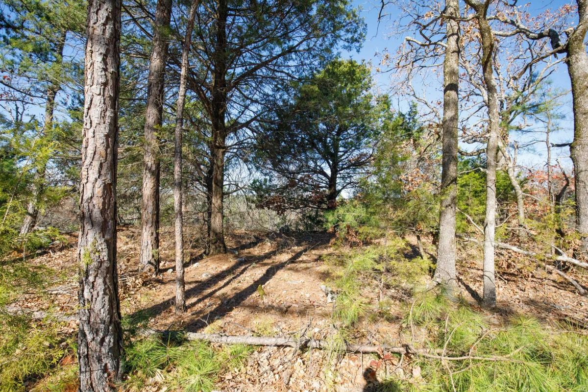 Decorative background for Stone Bridge Phase II Tract 100 image 10