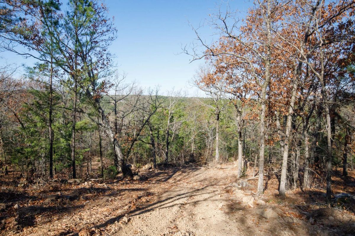 Decorative background for Stone Bridge Phase II Tract 100 image 12