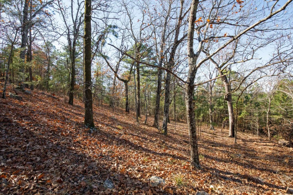 Decorative background for Stone Bridge Phase II Tract 100 image 13