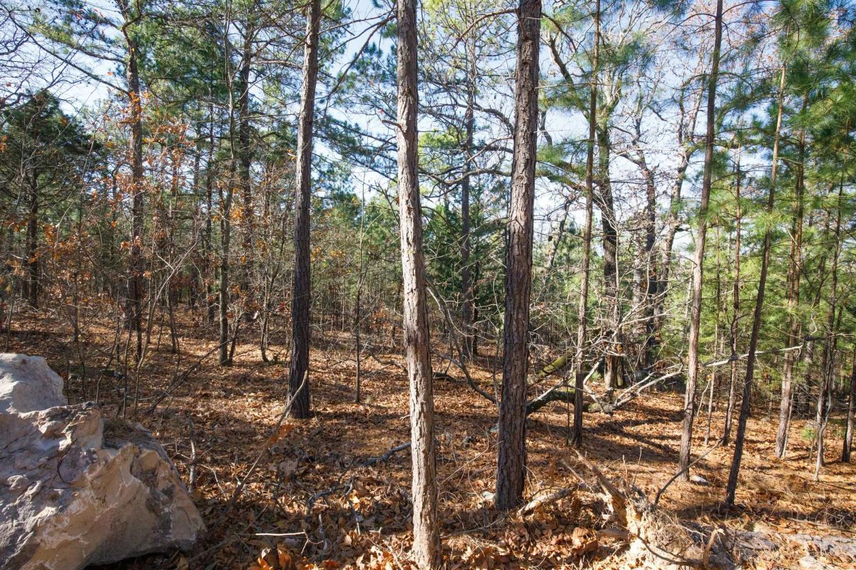 Decorative background for Stone Bridge Phase II Tract 100 image 14